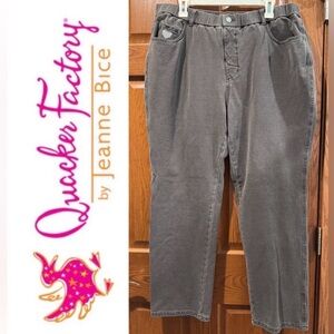 EUC 1X Short Dream Jeanne’s Pull on Jeans in Gray